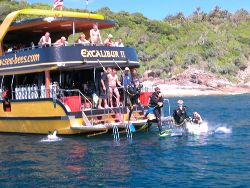 Thailand - daily boat diving